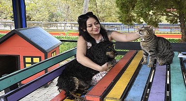 Kuşadası’nda 195 can dost yeni yuvasına kavuştu