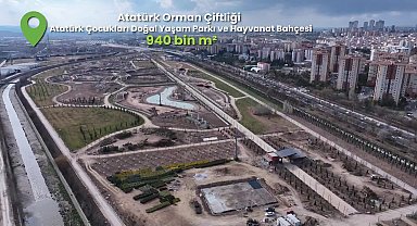 Mansur Yavaş: 