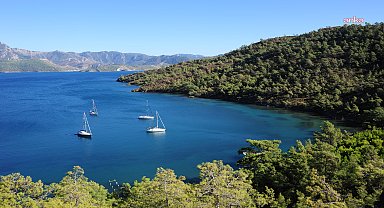Marmaris, Avrupa'nın yeşil öncüleri arasında 