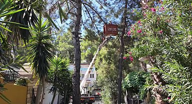 Marmaris Belediyesi Park ve Bahçeler Müdürlüğü ekiplerinden sonbahar önlemi