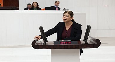 Meral Danış Beştaş: AİHM kararlarının uygulanması, Kobani tutuklularının tahliyesi, çözüm sürecinin güvenirliliği için zorunludur
