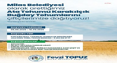 Milas Belediyesi'nden üreticilere karakılçık buğday tohumu desteği 