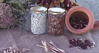 Minik eller toprakla buluştu 