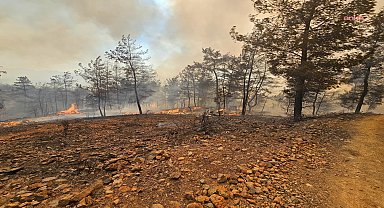 Muğla Büyükşehir Belediyesi'nden Milas ve Köyceğiz’deki orman yangınlarına müdahale 