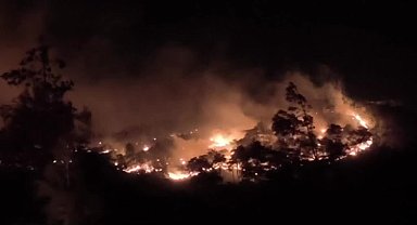 Muğla’da gece boyu 7 orman yangını