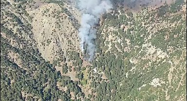 Muğla Köyceğiz'de ormanlık alanda yangın
