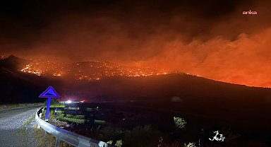 Muğla Köyceğiz’deki orman yangını... AFAD: 