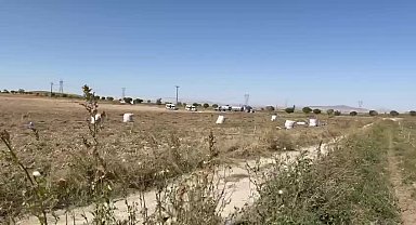 Ömer Fethi Gürer: Patates, yanlış tarım politikaları nedeniyle ya tarlada kalıyor ya depoda çürüyor