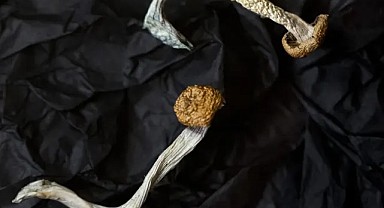 Psikedelik ilaçlar ruh sağlığı tedavisinde umut veriyor