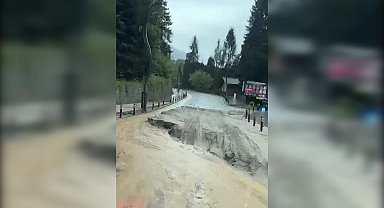 Rize’de sel ve heyelandan kaçan yavru ayılar tünele sığındı