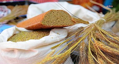 Seferihisar'ın Ulamış Köyü'nde Ata Ekmeği ve Armola Şenliği, Karakılçık Rotası Lansmanı ile birleşiyor