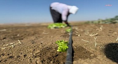 Silivri Belediye Başkanı Balcıoğlu: 