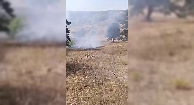 Sinop'ta arazi yangını: 1 kişi yaralandı