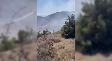 Sinop’ta otluk alanda çıkan yangın södürüldü