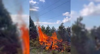 Sinop'ta peş peşe çıkan iki yangın söndürüldü