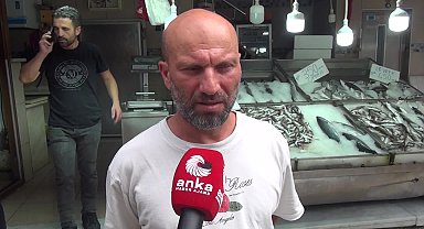 Sinoplu balıkçı: ''Bu sezon aşırı bir bolluk olacağını tahmin etmiyoruz