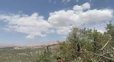 Şırnak’ta orman yangını kontrol altına alındı