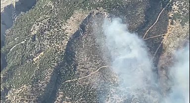 Söke’de yol kenarında başlayan ot yangını ormana sıçradı