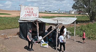 Tarlasını vatandaşa açtı, toplama maliyetinden kurtuldu