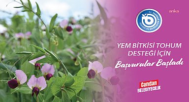 Tekirdağ Büyükşehir Belediyesi’nin yem bitkisi tohum desteği için başvurular başladı