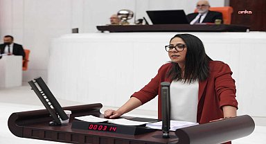 TİP Sözcüsü Sera Kadıgil: '''Kanun' deyip geçirdiler zeytin, ağaç, toprak, hayvan, insan ve su düşmanı bir şirket talimatını''