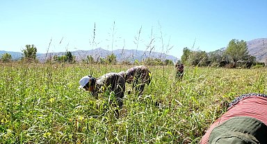 Tunceli’de organik kuru fasulye üreticileri dertli: “Bu maliyetlerin altından kalkamıyoruz”