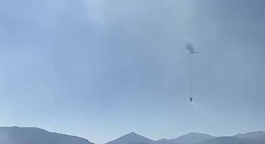 Tunceli'deki orman yangını kontrol altına alındı