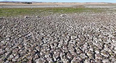 Yozgat’ta suyu çekilen baraj havzası otlak oldu
