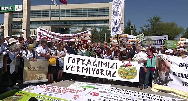 Zeytinlik alanların madencilik faaliyetlerine açılması... Gökhan Günaydın'dan AYM'ye çağrı: Lütfen ve derhal yürütmeyi durdurma, ardından da iptal kararı veriniz