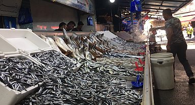 Zonguldak'ta hamsinin kilogramı 150 ila 300 liradan satılıyor