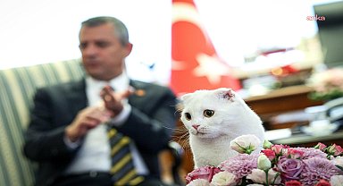 4 Ekim Dünya Hayvanları Koruma Günü... Özgür Özel: 