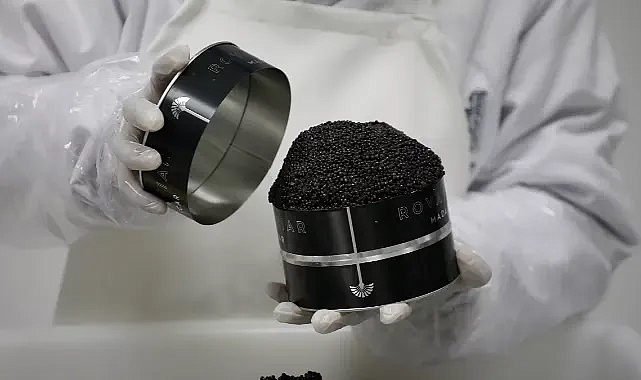 Afrika’nın ilk havyarı Madagaskar’dan çıktı: Kilosu 10 bin dolar