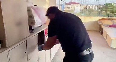 Ali Yerlikaya: Dolandırıcılık şebekelerine düzenlenen operasyonlarda 206 kişi tutuklandı 