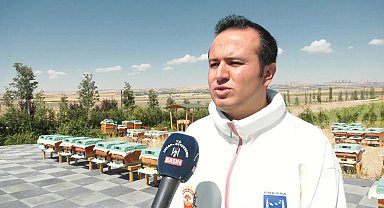 Ankara Büyükşehir Belediyesi, 