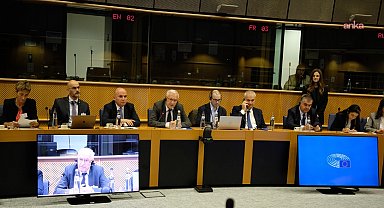 Avrupa Parlamentosu'nda düzenlenen konferansta, Ahıska Türklerinin geri dönüş süreci tartışıldı