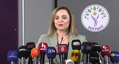 Ayşegül Doğan'dan Ömer Çelik'e: 