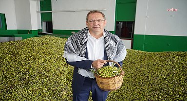 Ayvalık Uluslararası Zeytin Hasat ve Turizm Festivali için geri sayım başladı 