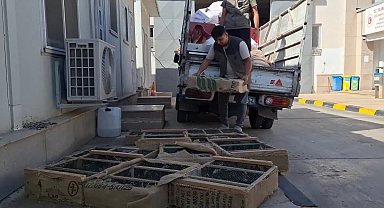 Bakan Yumaklı açıkladı: 1431 saka kuşu doğaya salındı