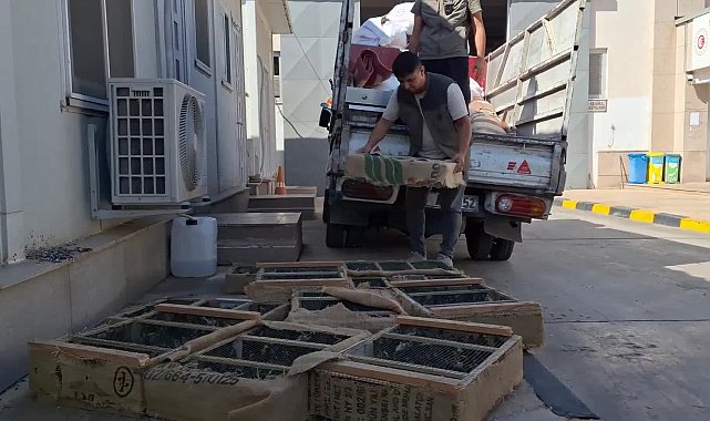 Bakan Yumaklı açıkladı: 1431 saka kuşu doğaya salındı