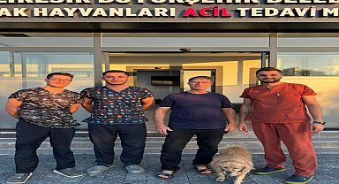 Balıkesir Büyükşehir Belediyesi bir ilki gerçekleştirerek Gofret’i hayata döndürdü