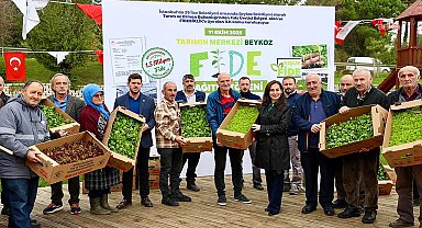 Beykoz Belediyesi’nden üreticiye 1,5 milyon fide desteği