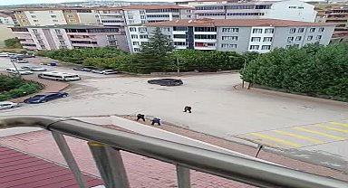 Bilecik'te mahkeme sonrası iki aile arasında kavga: 4 kişi yaralandı