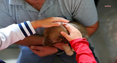 Bodrum Belediyesi sokaklardaki dostlarının yanında