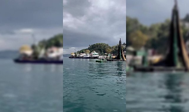 Boğaz girişindeki gırgır görüntüsü tepki çekti... İl Tarım Müdürlüğü: Denetim aralıksız sürüyor