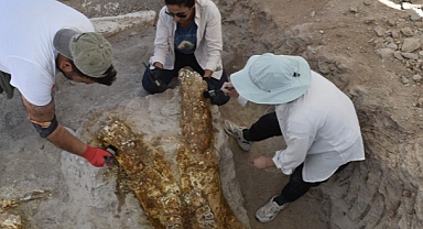 Boğazlıyan’a komşu Yamula Barajı’nda 7,7 milyon yıllık fil ve kılıç dişli kaplan fosili bulundu
