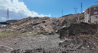 Bornova Belediyesi, Işıkkent’te atıl alanı misket üzümü bağına dönüştürüyor