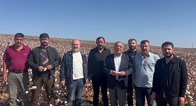 CHP Diyarbakır Milletvekili Tanrıkulu: “Bu yıl da destek verilmezse bölgede pamuk üretimi neredeyse sıfıra düşecek”