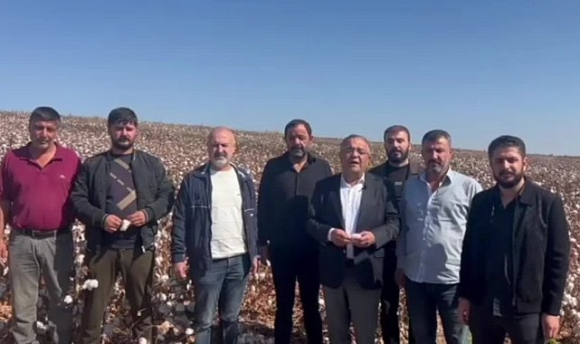 CHP Diyarbakır Milletvekili Tanrıkulu: “Bu yıl da destek verilmezse bölgede pamuk üretimi neredeyse sıfıra düşecek”