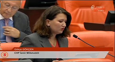 CHP Genel Başkan Yardımcısı Gökçen'den 