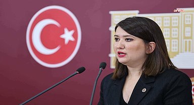 CHP kurultaylarının iptali istemi reddedildi... Gökçe Gökçen: 